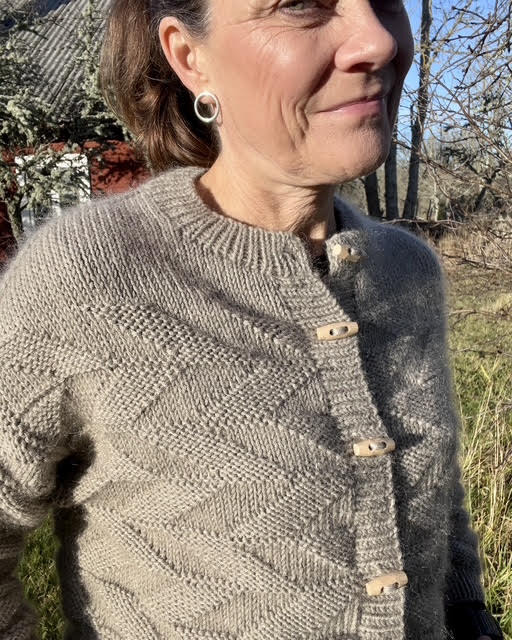 Trapez Cardigan