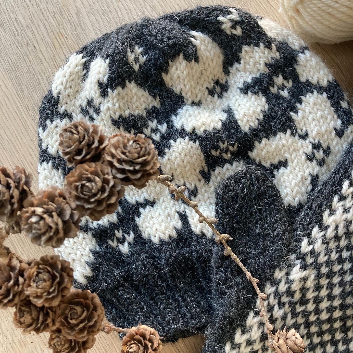 Big Flower Mittens & Hat